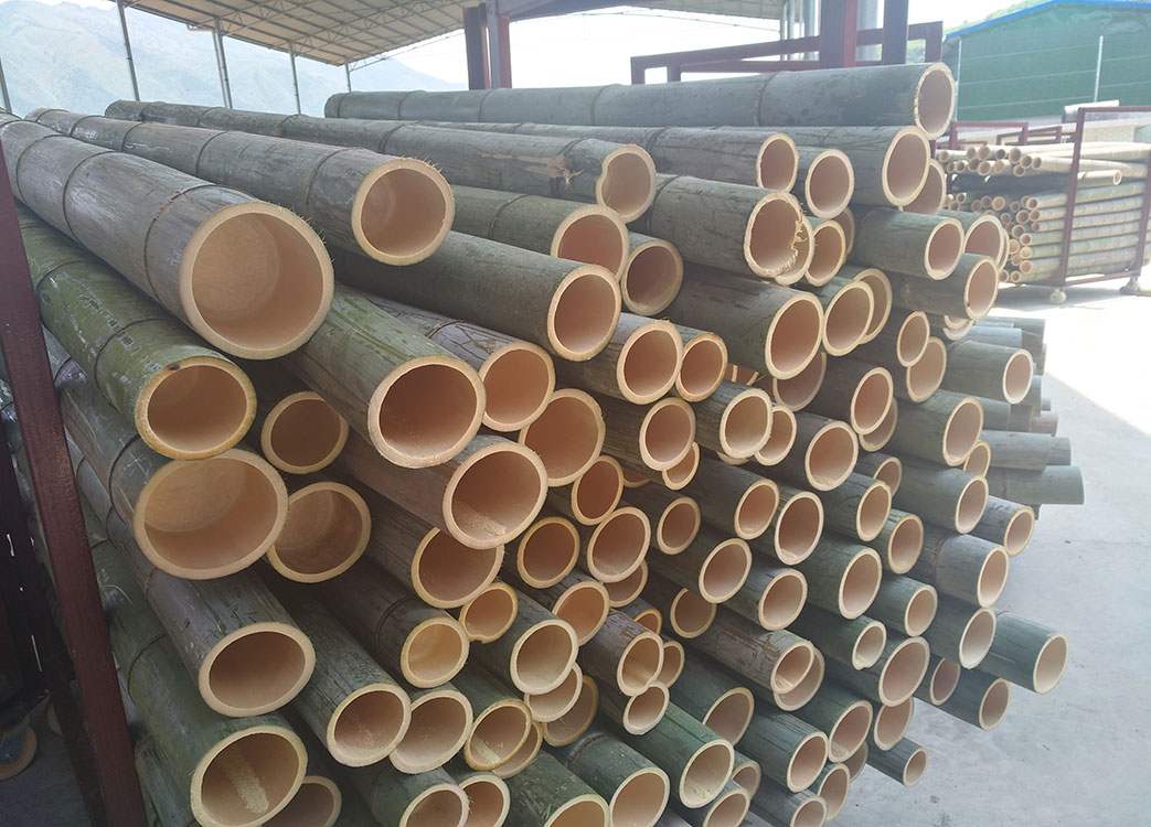 Bamboo Processing