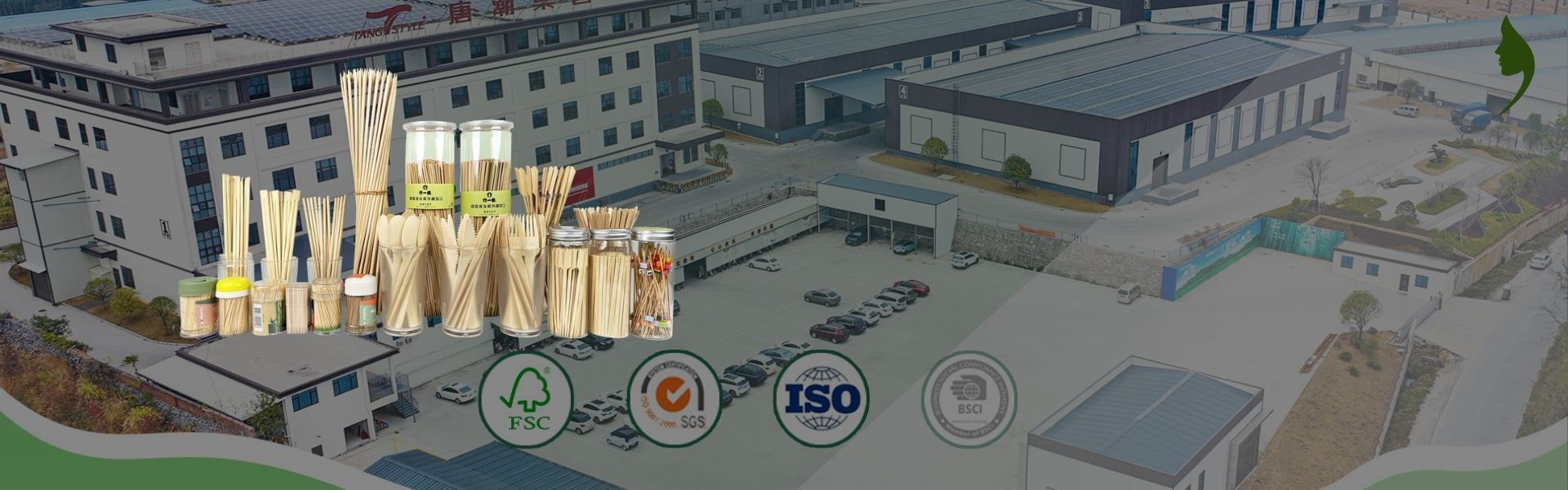 From Leaf to Lab - Complete Stevia Excellence